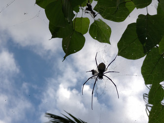 Similar image 22498678