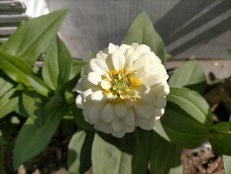 Similar image 22498693