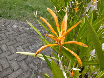 Similar image 22498706