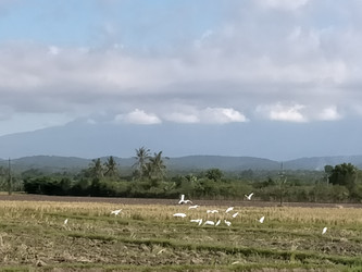 Similar image 22498738