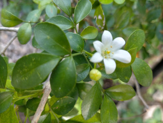 Similar image 22498752