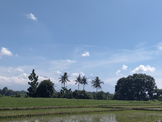 Similar image 22498782