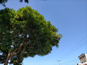 Similar image 22498783