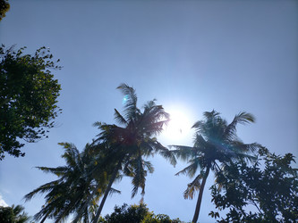 Similar image 22498798