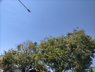 Similar image 22498812