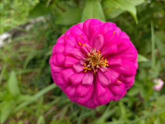 Similar image 22498813