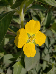 Similar image 22498857