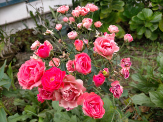 Similar image 22498873