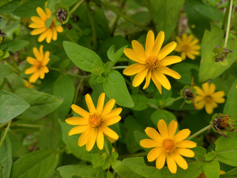 Similar image 22498887