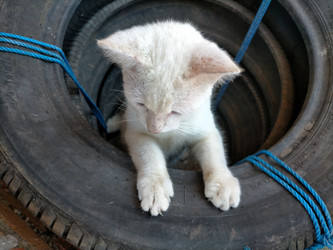 Similar image 22498932