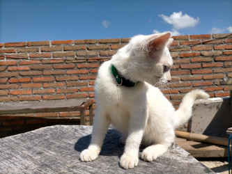 Similar image 22498948