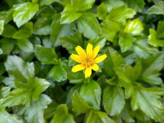 Similar image 22498949