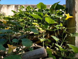 Similar image 22498978