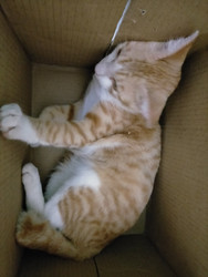 Similar image 22499008