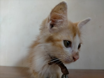 Similar image 22499021