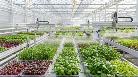 Similar image 22494351