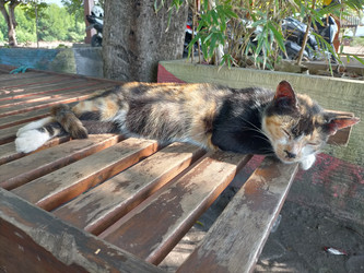 Similar image 22499377