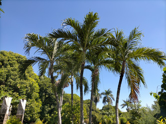 Similar image 22499407