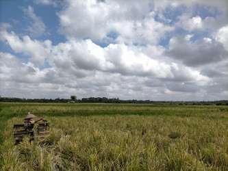 Similar image 22499424