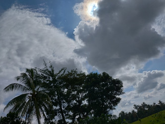 Similar image 22499437