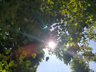 Similar image 22499438