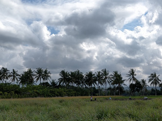 Similar image 22499452