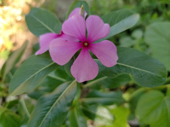 Similar image 22500951