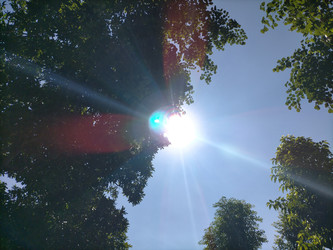 Similar image 22501291