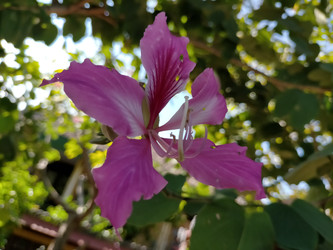 Similar image 22501292