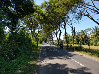 Similar image 22501321