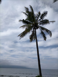 Similar image 22501337