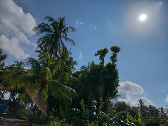 Similar image 22501354