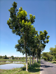 Similar image 22501371