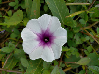 Similar image 22532577