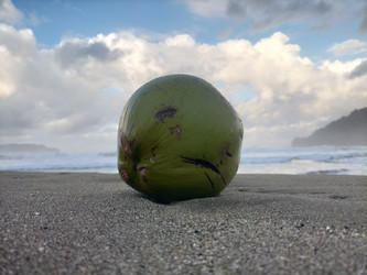 Similar image 22532622