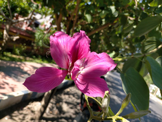 Similar image 22532685