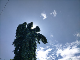 Similar image 22532704