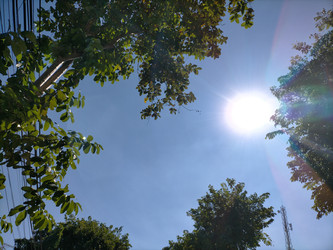 Similar image 22532751