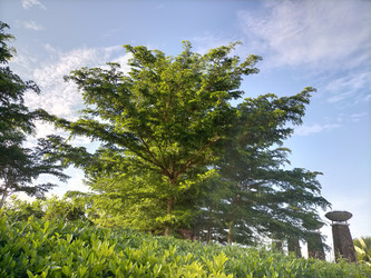 Similar image 22532777