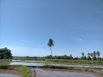 Similar image 22532819