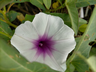 Similar image 22532843