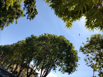 Similar image 22532865