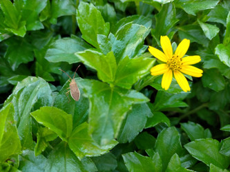 Similar image 22532889