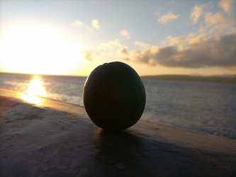 Similar image 22532910