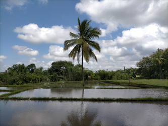 Similar image 22532933