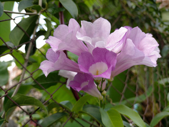 Similar image 22532934