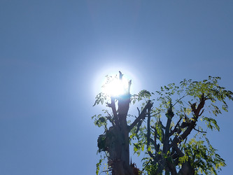 Similar image 22532955