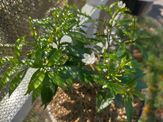 Similar image 22532957