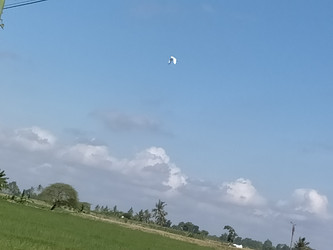 Similar image 22532979