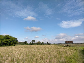 Similar image 22533000